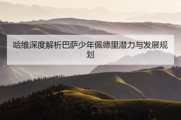 哈维深度解析巴萨少年佩德里潜力与发展规划 | chaofangames